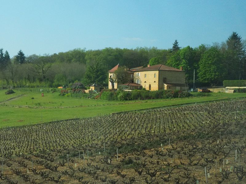 A Beaujolais vineyard and production facility